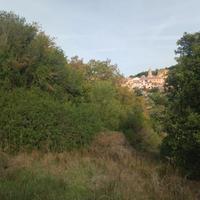 Terreno alberato recintato