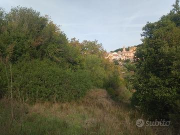 Terreno alberato recintato