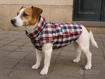 Piumino impermeabile per cane