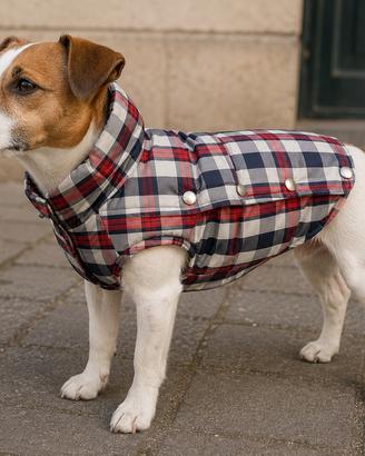 Piumino impermeabile per cane