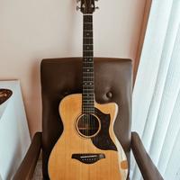 Chitarra Yamaha AC5M AC5R (made in Japan)