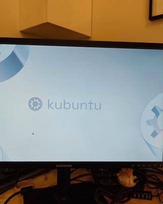 Monitor Samsung 24" FHD regolabile + adattatori