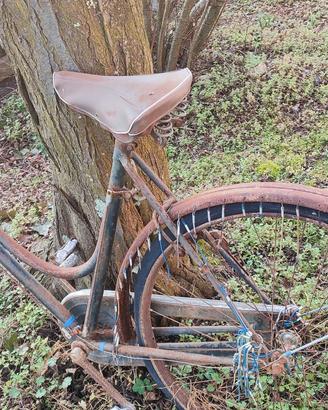bicicletta vintage 
