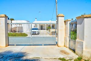 PROMO 22-29 Agosto Torre San Giovanni PET FRIENDLY