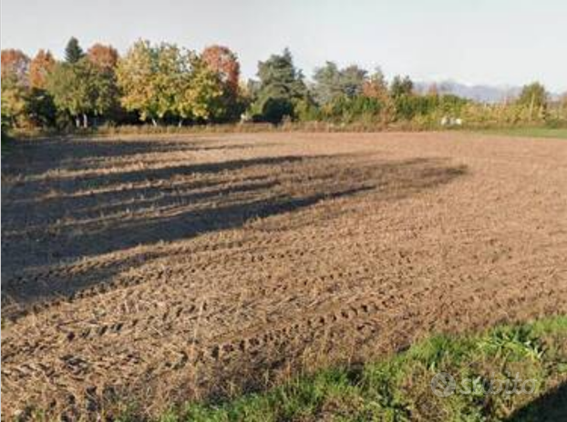 Terreni industriali Vicinanze Via B. Bozzi Bari