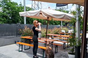 Pub Moderno 400 mq totali - Passirano