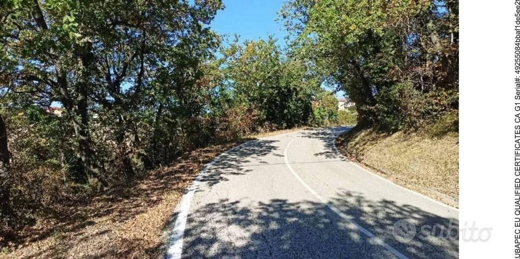 Immobile in asta di 21855 m² a Monte Vidon Combatt - Vista 3