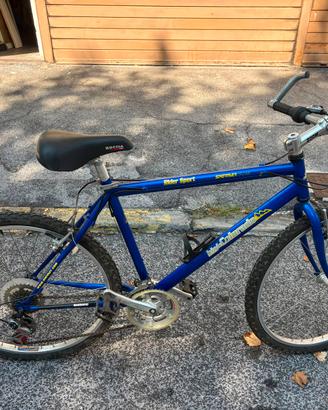 Mountain bike uomo