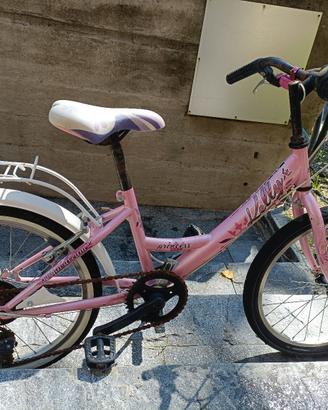 bicicletta 