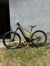 E bike Bergamont e-revox sport