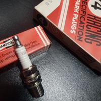 CANDELE CHAMPION  C55 -(B9EG )