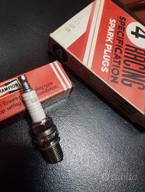 CANDELE CHAMPION  C55 -(B9EG )