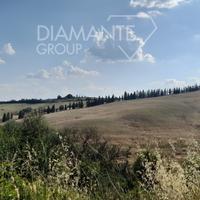 Terreno agricolo di circa 45 ettari seminativo