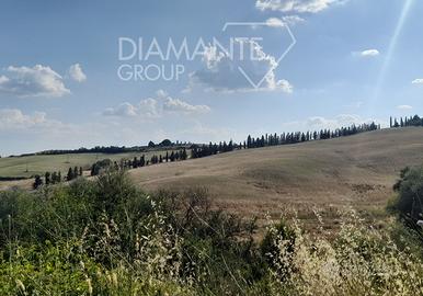 Terreno agricolo di circa 45 ettari seminativo
