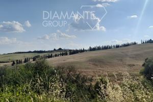 Terreno agricolo di circa 45 ettari seminativo