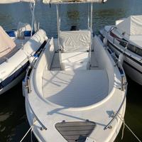 Barca 40 cv con carrello