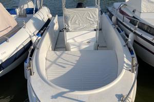 Barca 40 cv con carrello