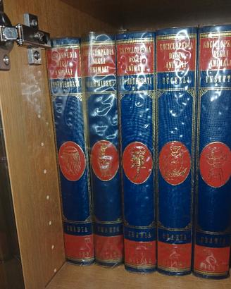 Enciclopedia degli Animali 6 Volumi Urania