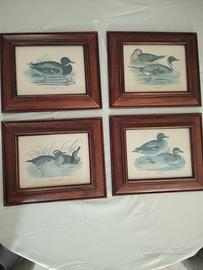 Serie 4 quadri 