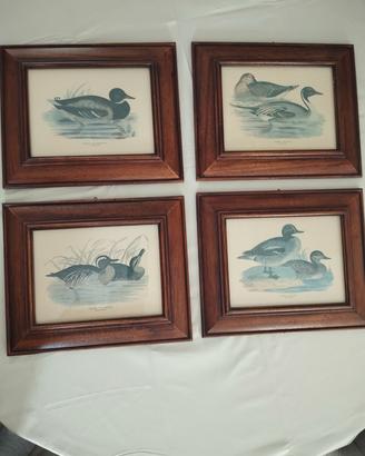Serie 4 quadri 