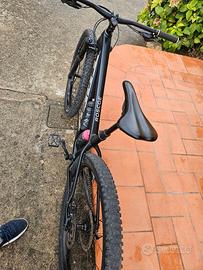 bicicletta