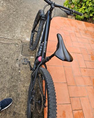 bicicletta