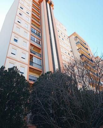 Appartamento 5 vani bonagia
