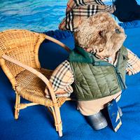 Burberry Teddy Il Pescatore