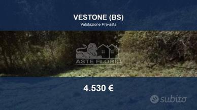 Immobile in asta di 6590 m² a Vestone