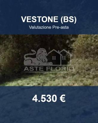 Immobile in asta di 6590 m² a Vestone