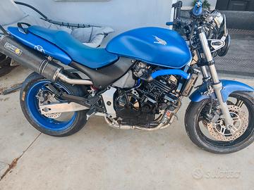 Honda hornet 