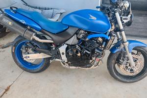 Honda hornet 