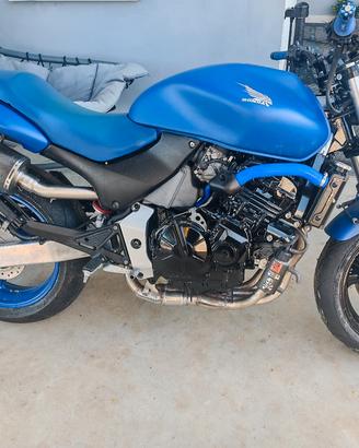 Honda hornet 