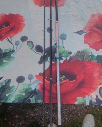 canna verbanese record evo  4.5m 25gr