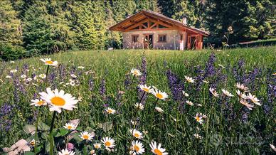 Casa nel verde