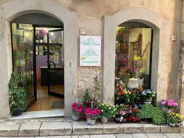 Cede si Attività