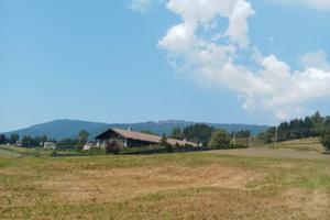Altopiano di Asiago azienda agricola