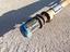 Immagine 7