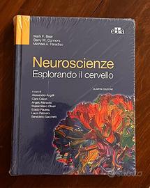 Neuroscienze, Esplorando il Cervello