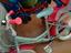 Immagine 1