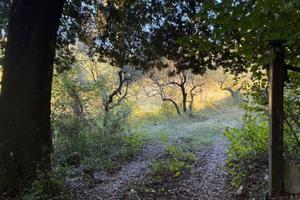 TER. AGRICOLO A PALOMBARA SABINA