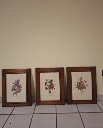 Set di 3 Quadri Botanici vin