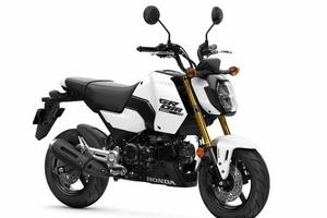 HONDA MSX 125 Grom my25
