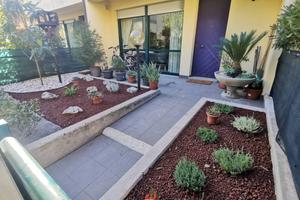 Soria uso transitorio con Giardino