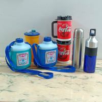 Borracce termiche e normali(caldo/freddo)2 Thermos
