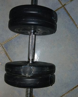 manubri 
