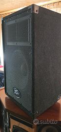 diffusori peavey PVi 10