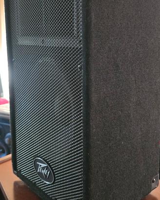 diffusori peavey PVi 10