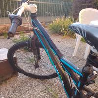 Due biciclette da sistemare 