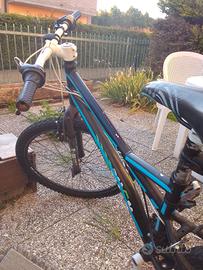 Due biciclette da sistemare 